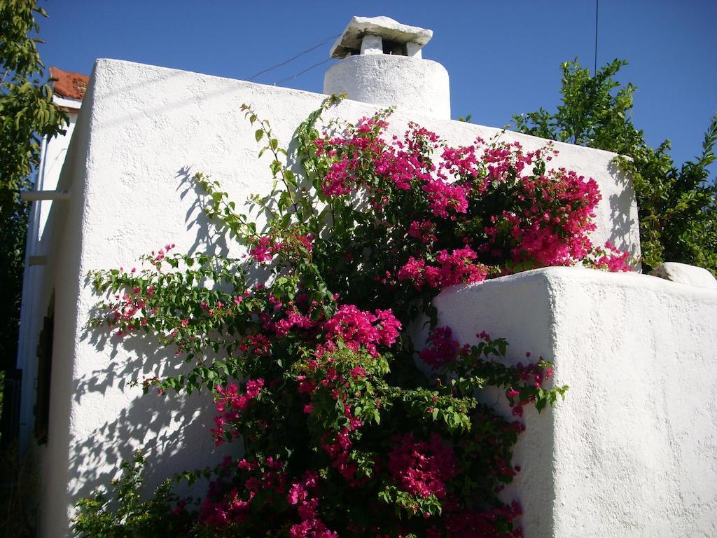 Patriko Country House Vóroi Exterior foto
